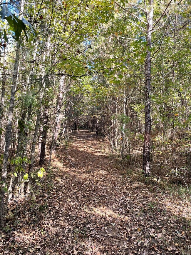 cleared trails throughout property