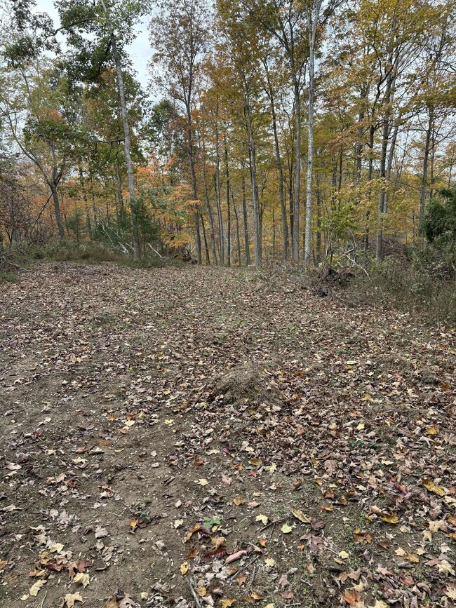 Pine Grove Ch Rd, Vanceburg, KY 41179 - photo 7