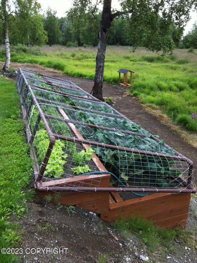 Valley Produce