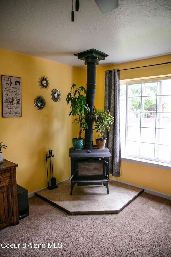 Wood burning stove in living room