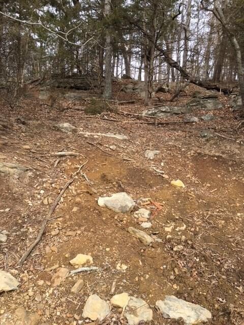 TBD Rothrock Rd, Elkins, AR 72727 - photo 4