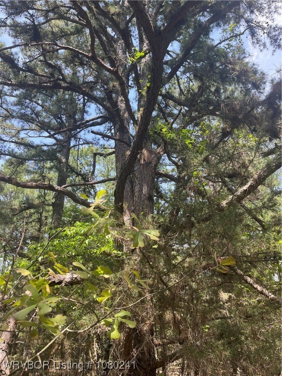 Tract 7 Station Rd, Bokoshe, OK 74930 - photo 5