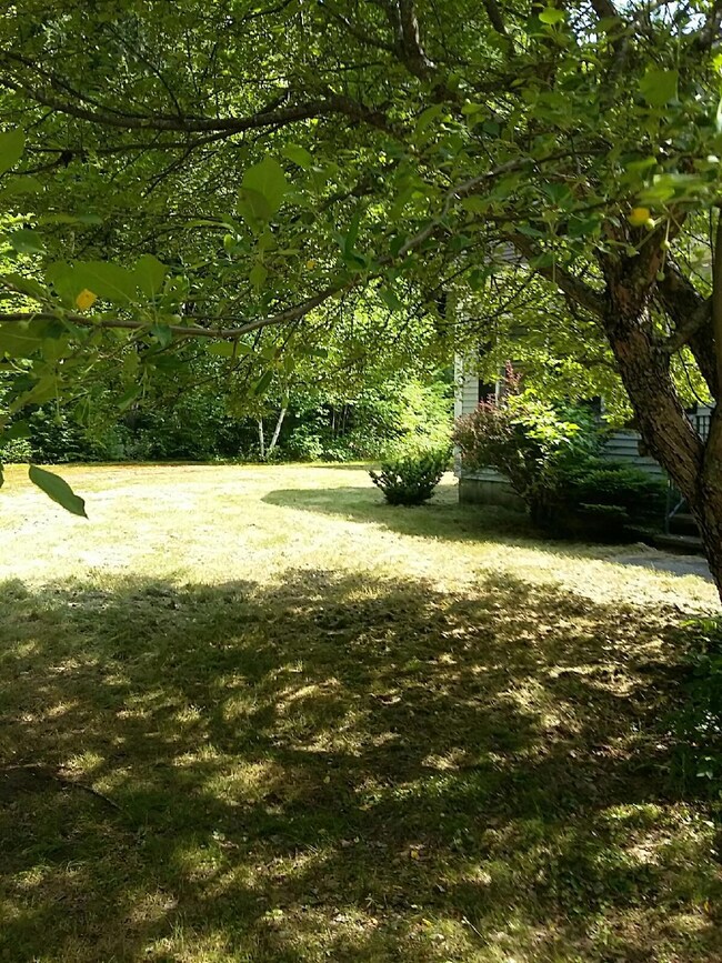 FRONT YARD