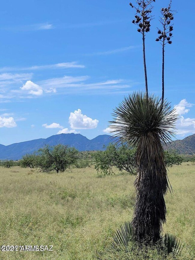 3.6 ACRE on Treasure Rd (10)