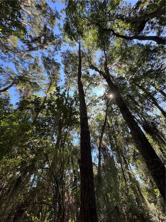 Lot 20 & 21 Riverside Dr, Darien, GA 31305 - photo 4