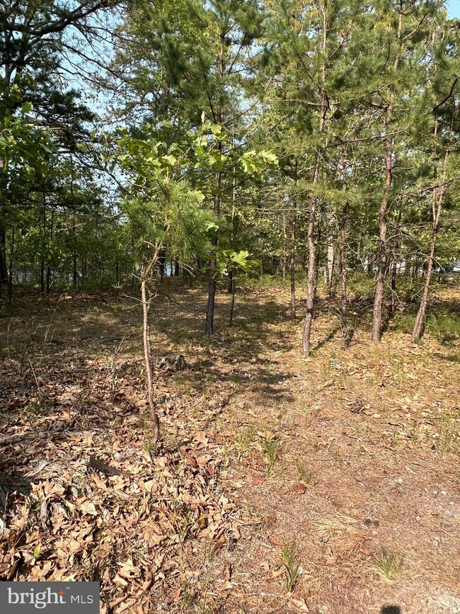 2700 S Lakeshore Dr, Browns Mills, NJ 08015 - photo 2