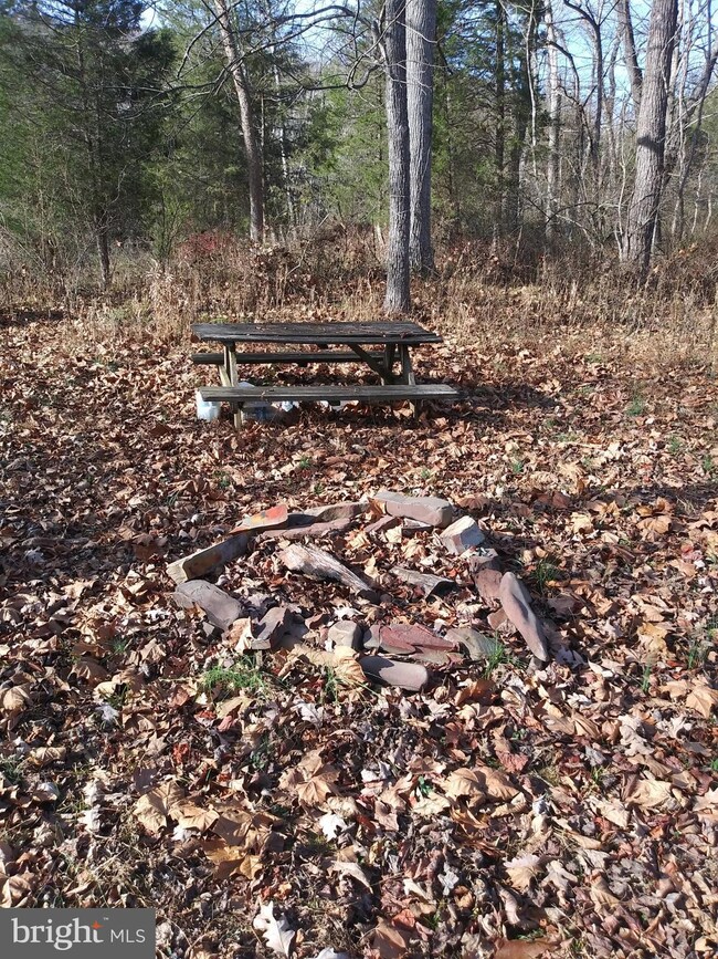 Lot #4 Little Cacapon-Levels Rd, Points, WV 25437 - photo 2