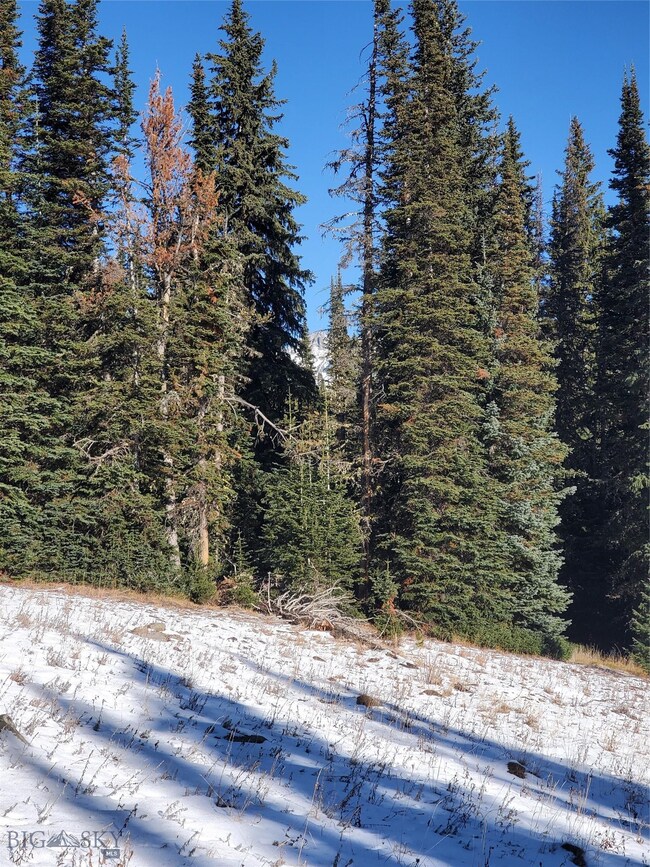 TBD Lower Beehive Rd, Big Sky, MT 59730 - photo 7