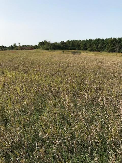 TBD Pine Bluff (Site15) Rd NW, Pine Island, MN 55963 - photo 2