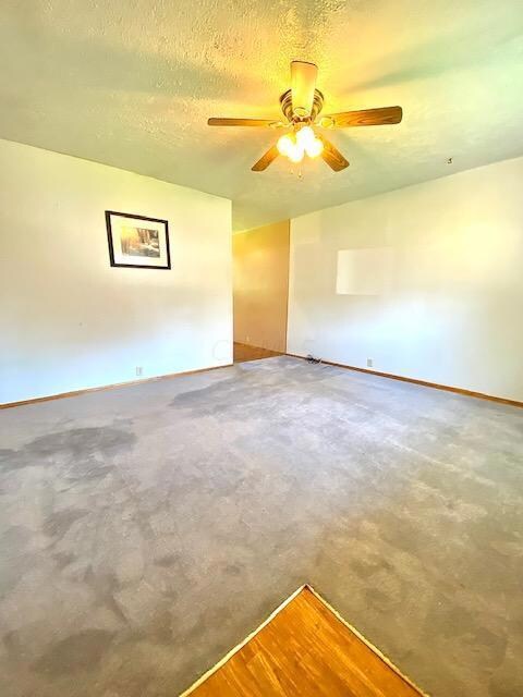 484 Toledo Ave, Marion, OH 43302 - photo 5