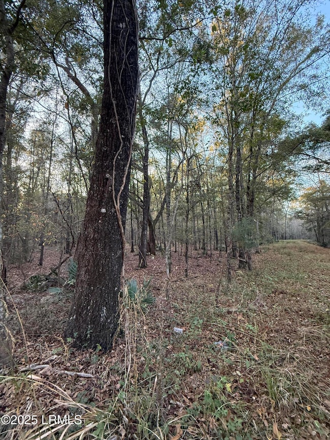 80 Big Estates Cir, Yemassee, SC 29945 - photo 6