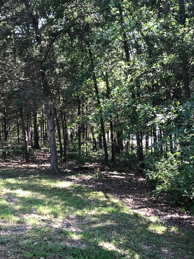 115 Elm St, Kimberling City, MO 65686 - photo 4