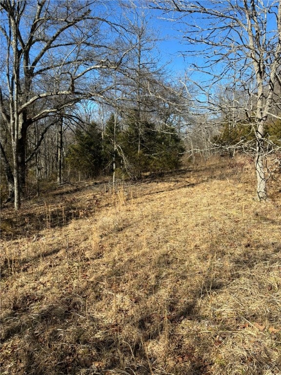 0 Rockwood Wc 4116, Fayetteville, AR 72701 - photo 7