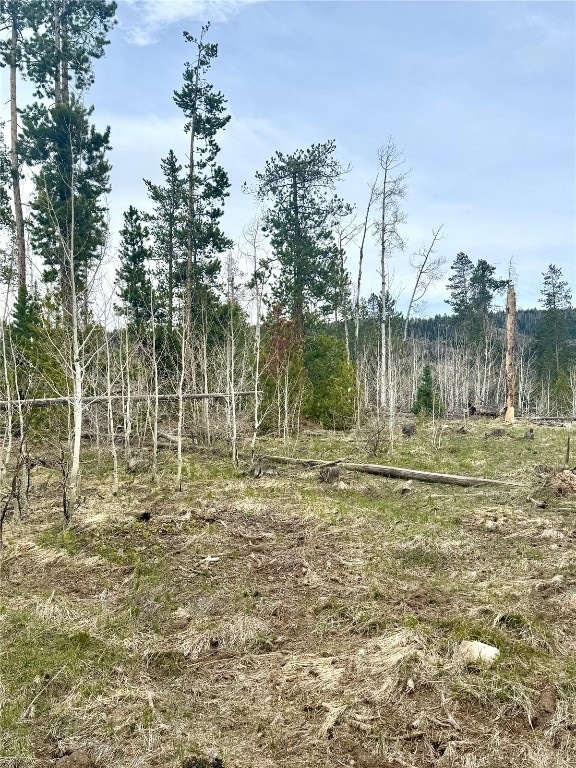 View of local wilderness