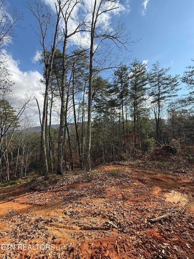 Lot 1 Parksville Rd, Benton, TN 37307 - photo 6