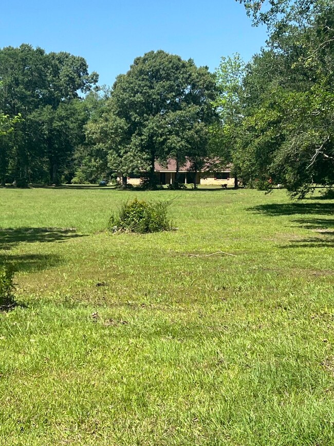front from road