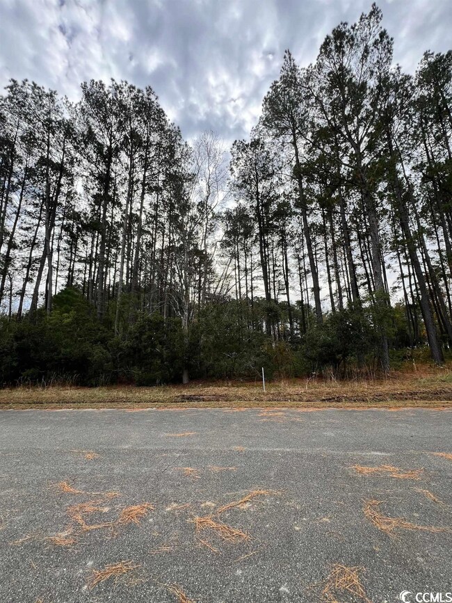 Lot 19 Alligator Ct, Conway, SC 29526 - photo 2