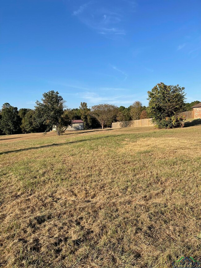 View of yard with a rural view