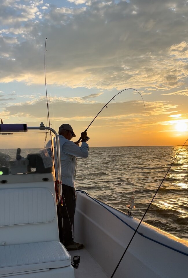 318 Merganser St, Sargent, TX 77414 - photo 7