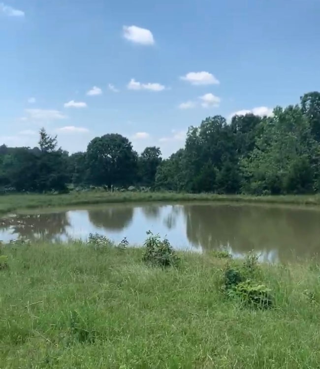 3013-3015 Possum Trot Rd, Ash Flat, AR 72513 - photo 5