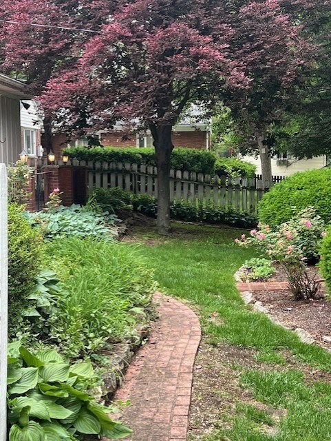 Lovely backyard