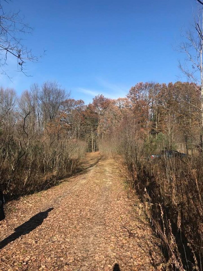 blood lake driveway