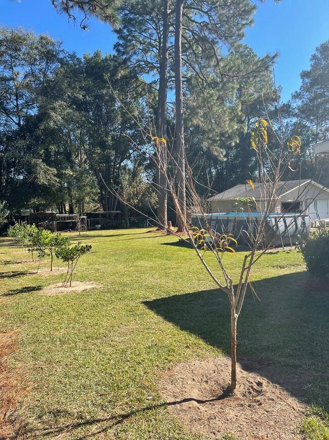 402 Bowens Mill Rd, Douglas, GA 31533 - photo 4