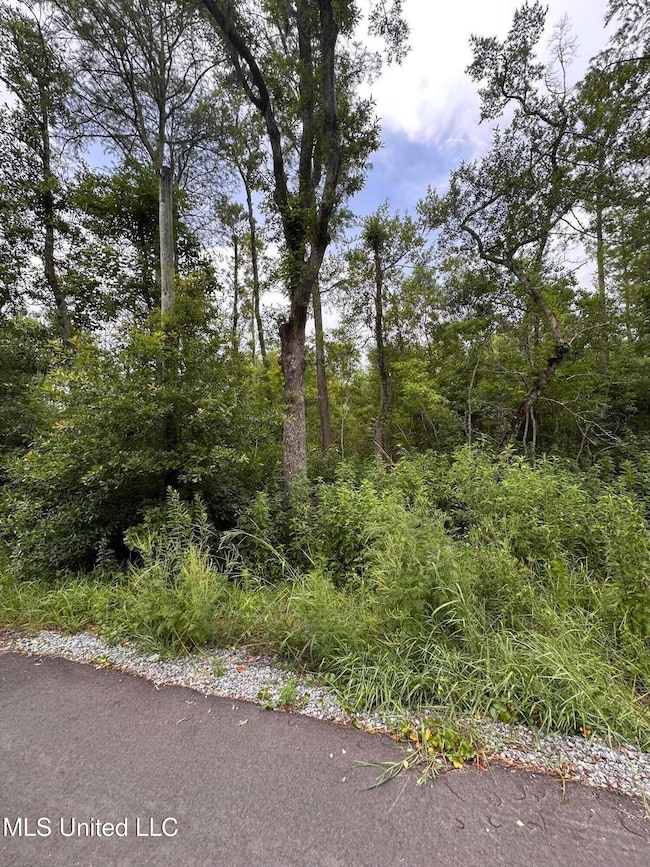 0 Martin St, Moss Point, MS 39563 - photo 5