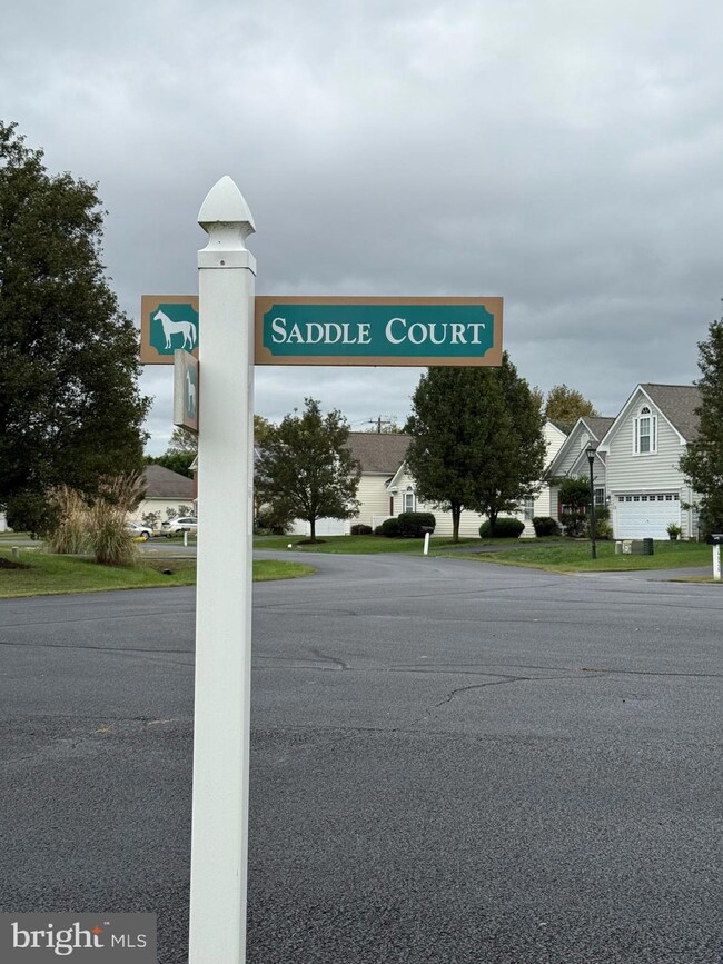 20332 Saddle Ct, Rehoboth Beach, DE 19971 - photo 7