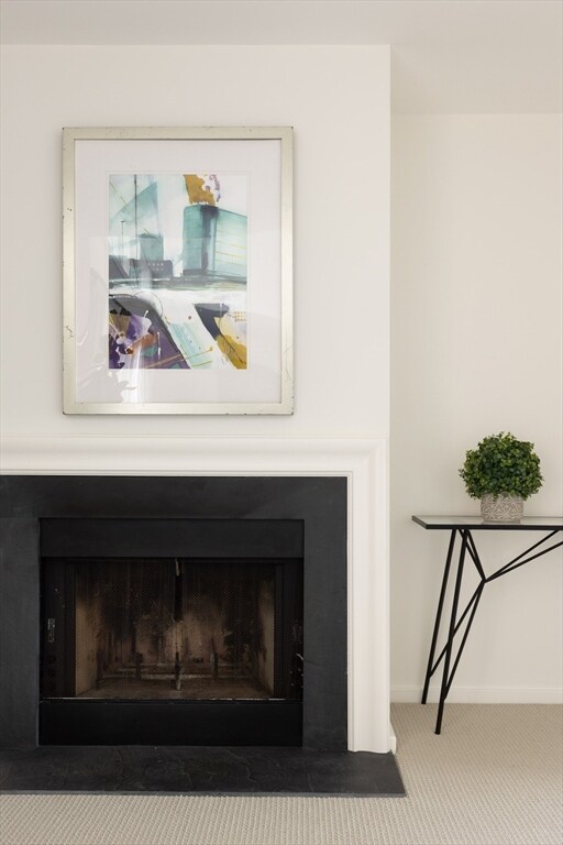 University Green unit 506, Cambridge, MA 02138 - photo 4