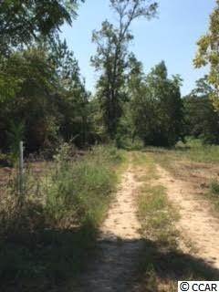 Highway 22 S Carolina 22, Conway, SC 29526 - photo 4