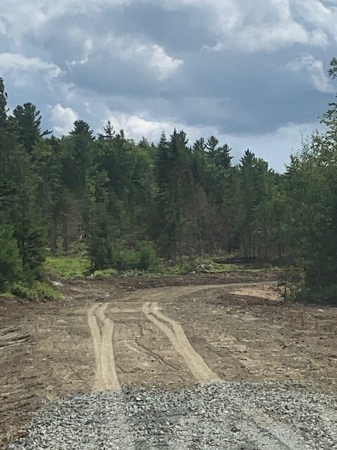 2 Gannon Rd, Lyman, NH 03585 - photo 5