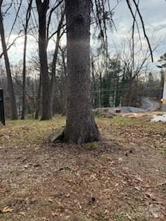 99999 Dalton St, Asheville, NC 28803 - photo 5