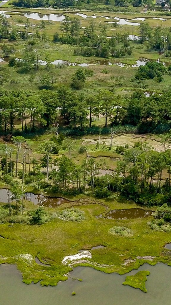 Lot 6 Wildcat Ln unit 6, Chincoteague, VA 23336 - photo 4