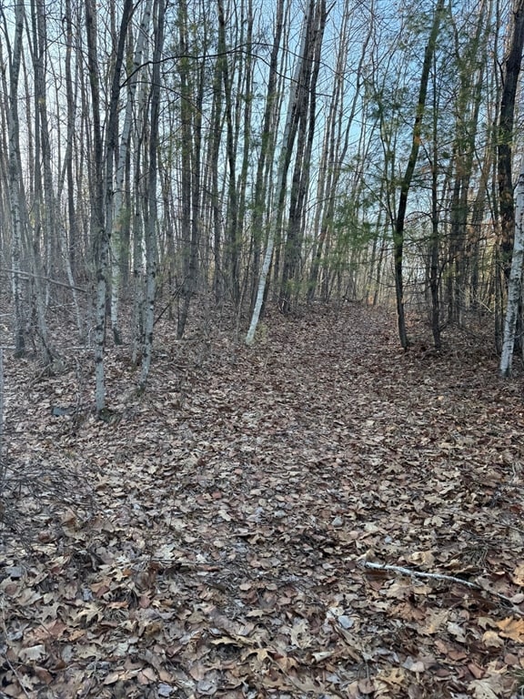 139 Nashua Rd, Pepperell, MA 01463 - photo 3