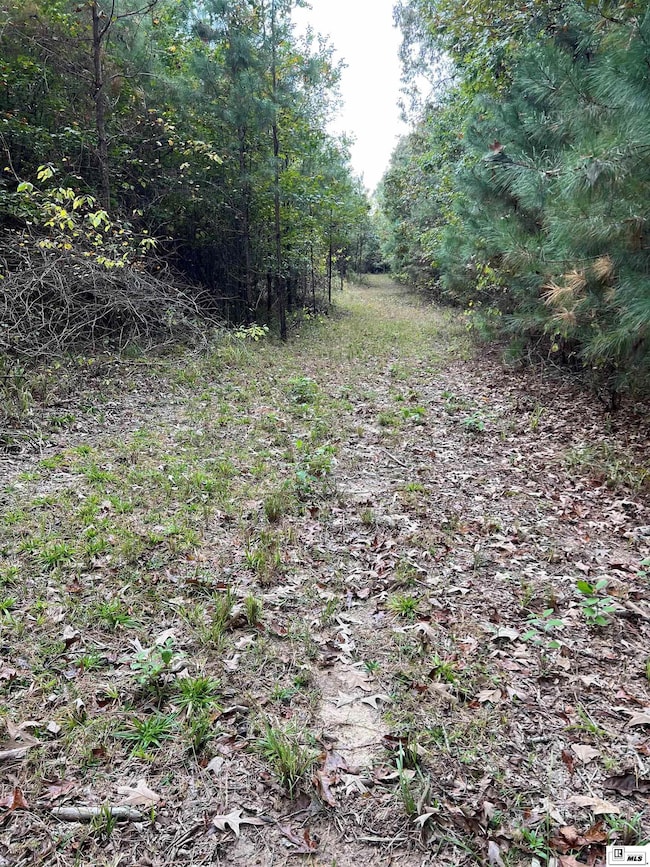 00 Highway 552, Downsville, LA 71234 - photo 5