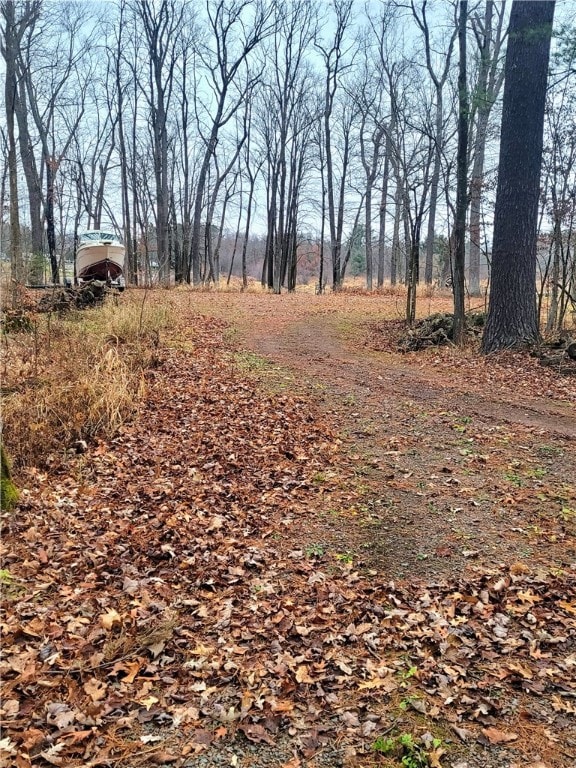 N899 Resewood Ave, Neillsville, WI 54456 - photo 5