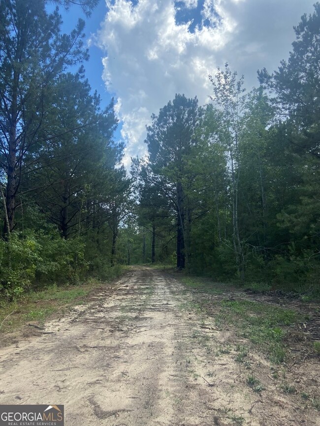 0 Mamie Graham Rd unit 30544, East Dublin, GA 31027 - photo 4