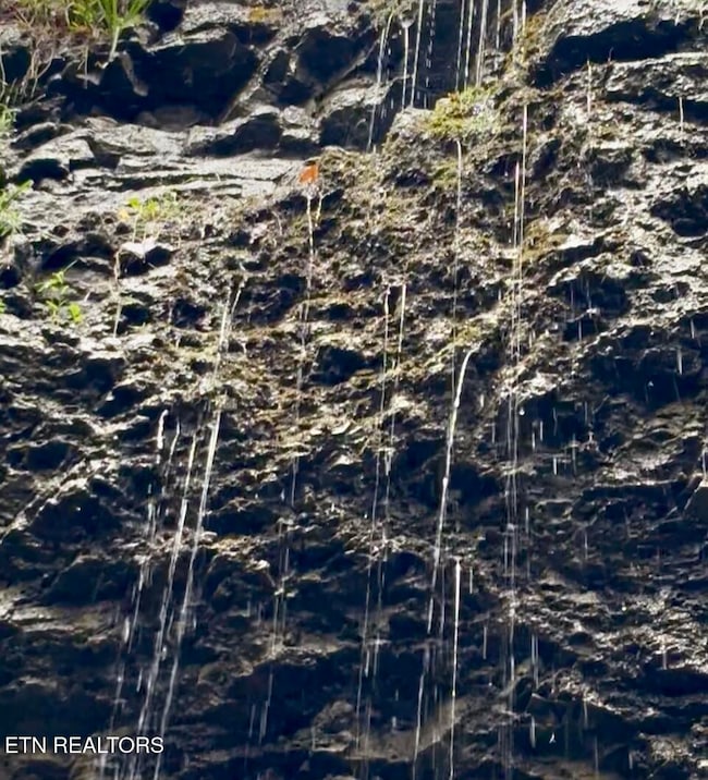 0 Bridle Way unit 1323079, Speedwell, TN 37870 - photo 6