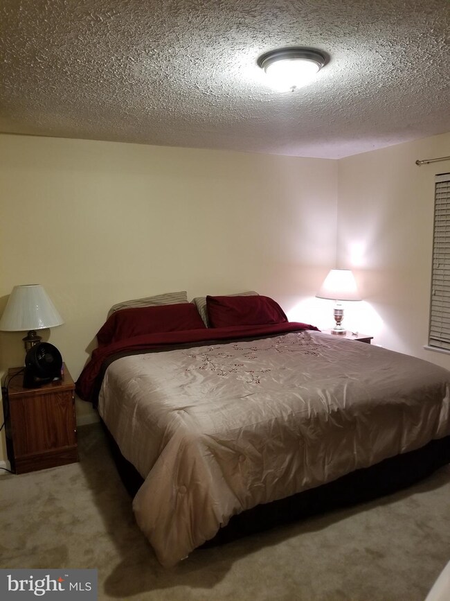 1539 Saint Lawrence Ct, Frederick, MD 21701 - photo 6