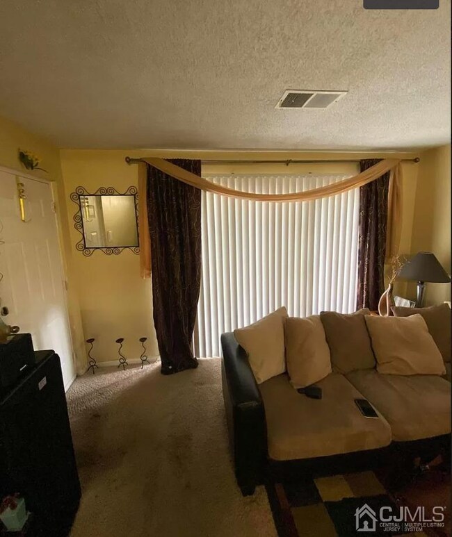 116 Edpas Rd unit 116, New Brunswick, NJ 08901 - photo 3