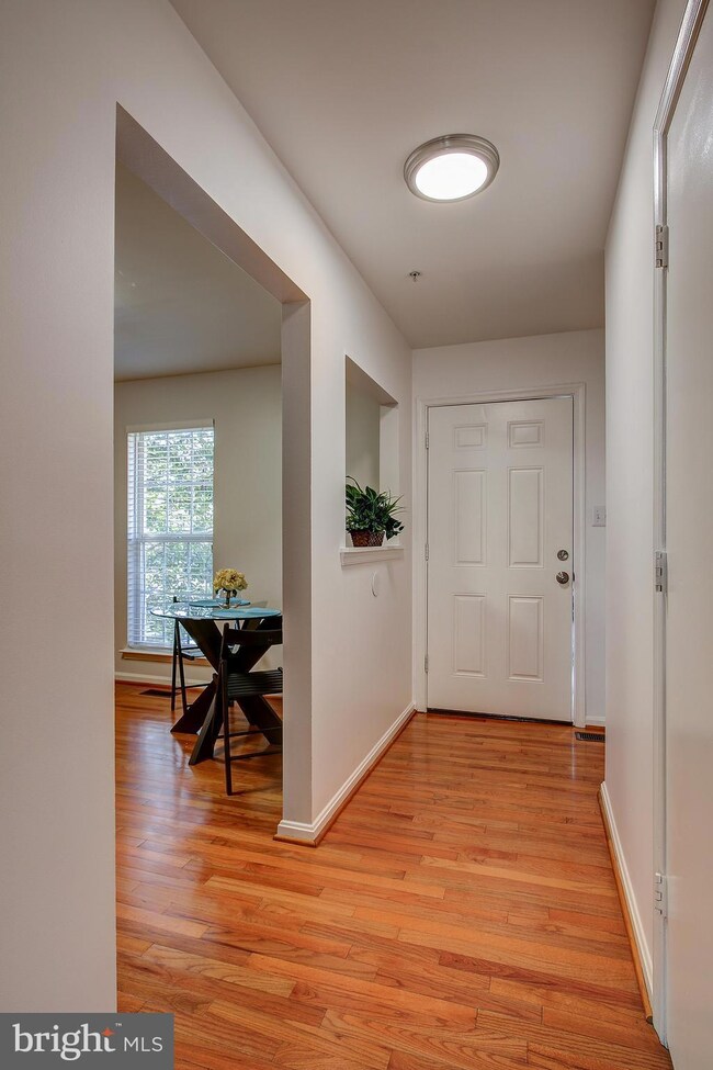 20353 Mill Pond Terrace, Germantown, MD 20876 - photo 4