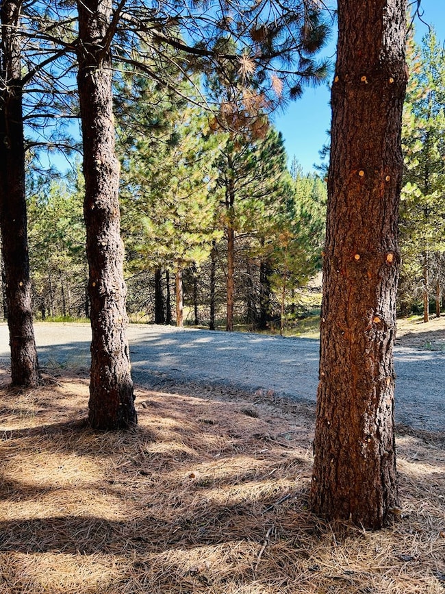 Lot 40 Challis Ln unit 40, Cascade, ID 83611 - photo 3