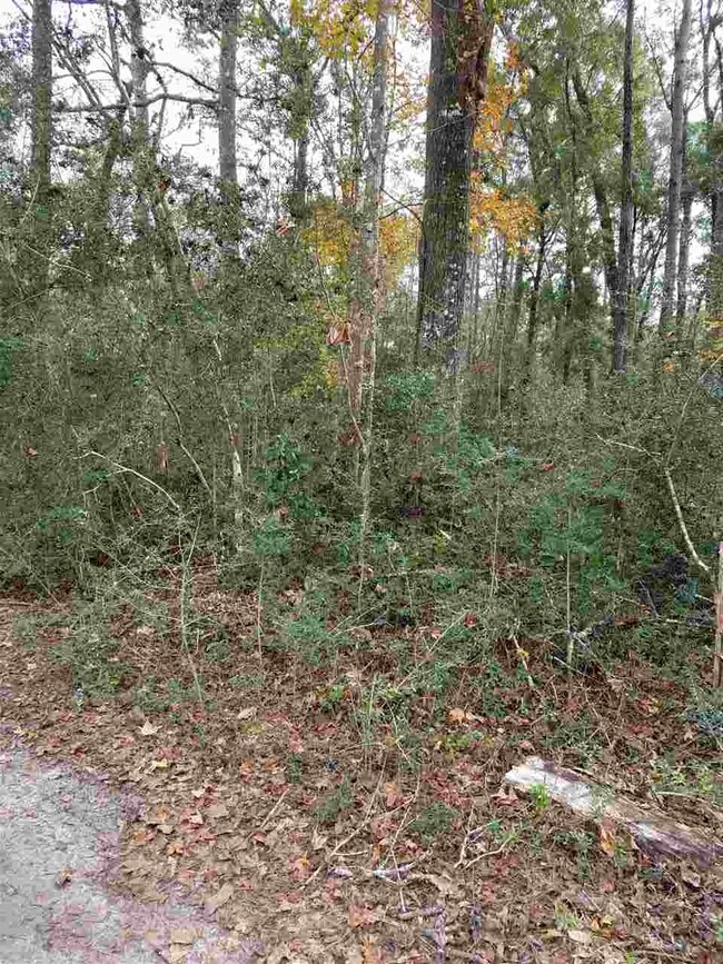 0 Page Oliver Rd, Crawfordville, FL 32327 - photo 2