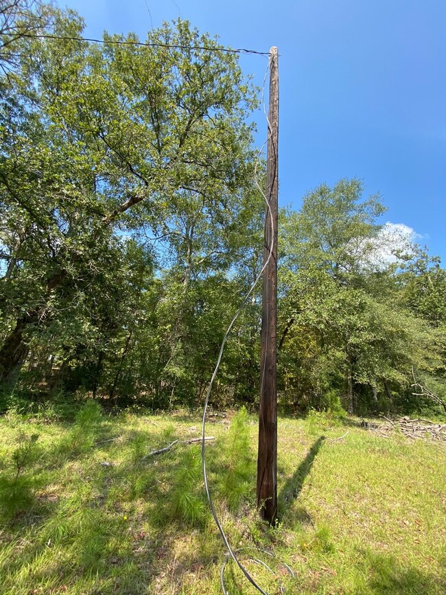 00 Mill Creek Rd, Huntington, TX 75949 - photo 5