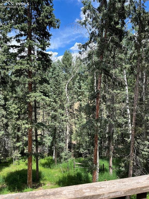 View from back deck