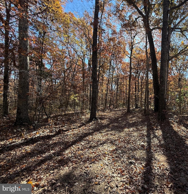 11400 Railroad Ln, Locust Grove, VA 22508 - photo 3