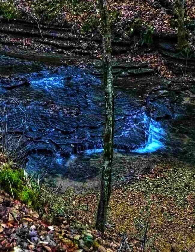 329 Burns Hollow Rd, Waynesboro, TN 38485 - photo 6