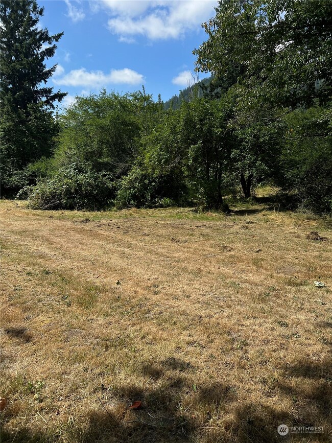 47031 286th Ave SE, Enumclaw, WA 98022 - photo 5