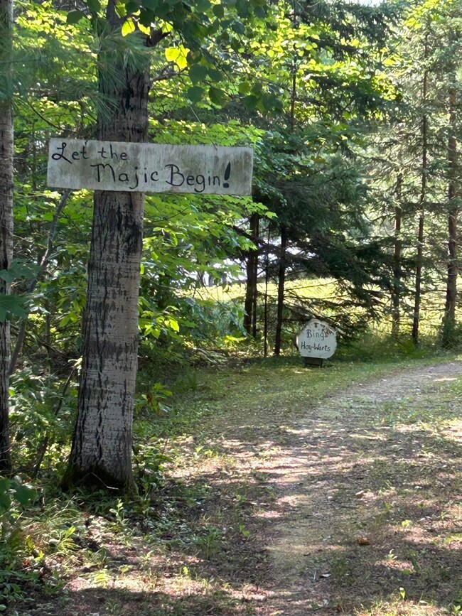 Driveway 3